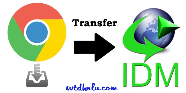 Transfer file download from google chrome to idm